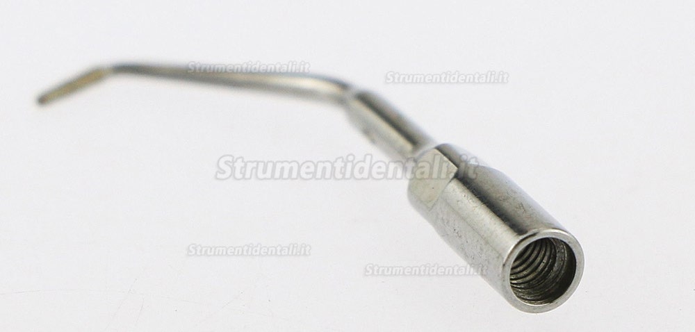 5Pz Woodpecker® E10D Inserti endodontico EMS Compatibile